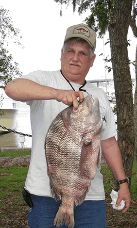 1st Place - Leslie Roberts