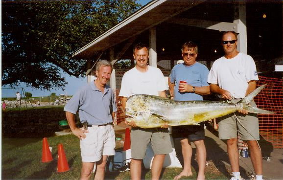 1st Place - Dolphin - Dickel Daze