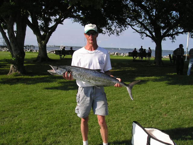 3rd Place - King Mackerel - Stack Um